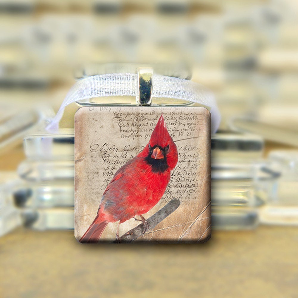 Cardinal Glass Pendant Necklace - glitteringdreams