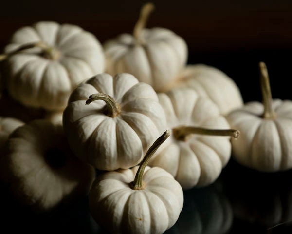 White pumpkins - rustic kitchen farmhouse - dark home decor - beige - food photography - primitive cabin art 8x10 - Raceytay