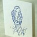 Letterpress Illustrated Series Card Pack- Seasons