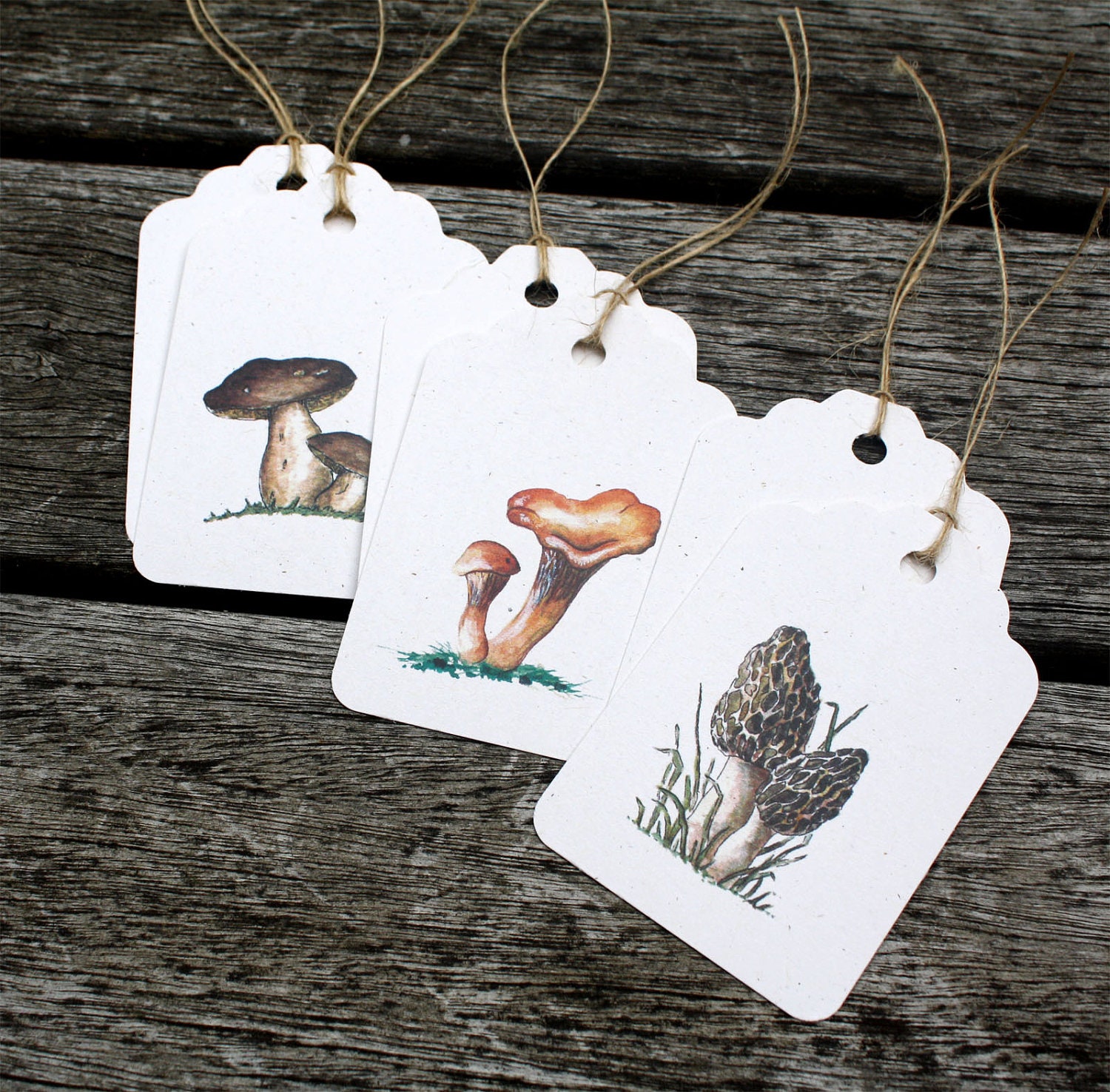 6 Mushroom Nature Series Tags, Watercolors Set of 6, Morel Porcini Chanterelle, Fall Autumn, Recycled Papers - Free US Shipping