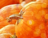 Fine Art Photography "Magical Pumpkins" - 11 x 14 - Digital Photo Print - Orange Harvest Fun with Bokeh - Halloween Magic, Home Decor