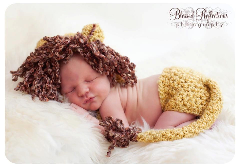 Lion Cub prop plus Diaper Cover with Tail Photo Package