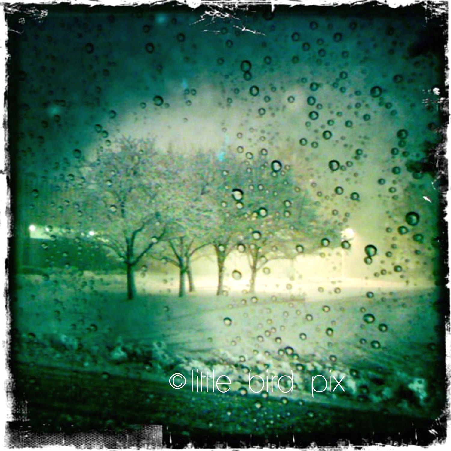 April Showers Nature Rain - 5x5 Fine Art Print