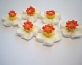 100 narcissus sugar flower royal icing Il_170x135