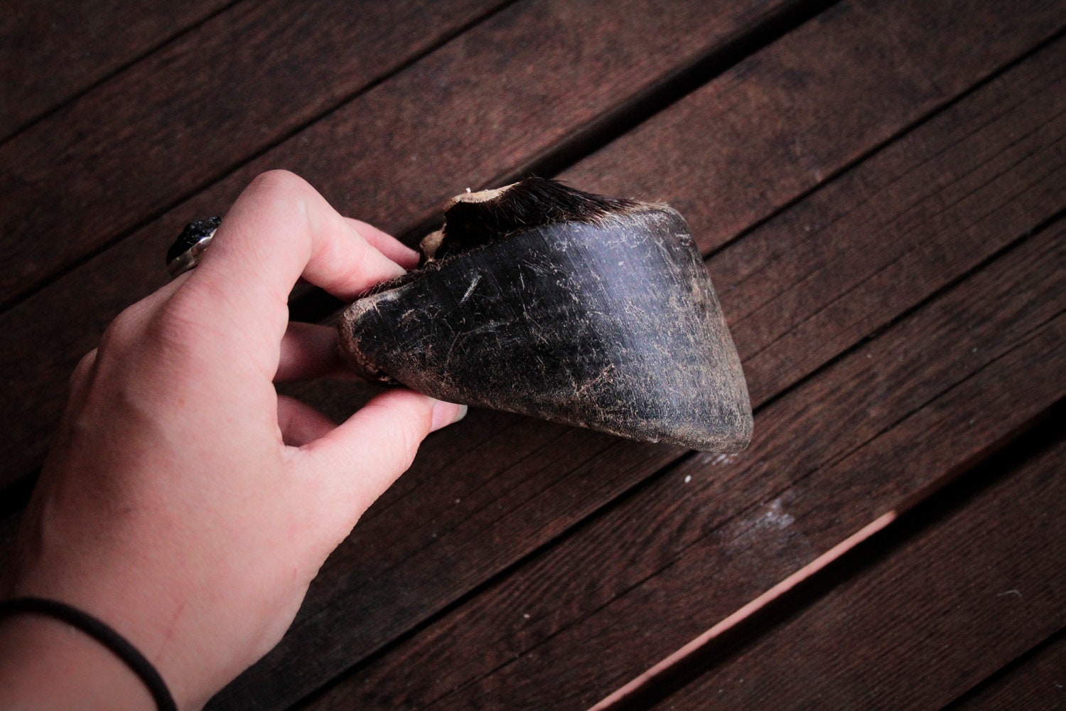 Real Recycled Zebra Hoof
