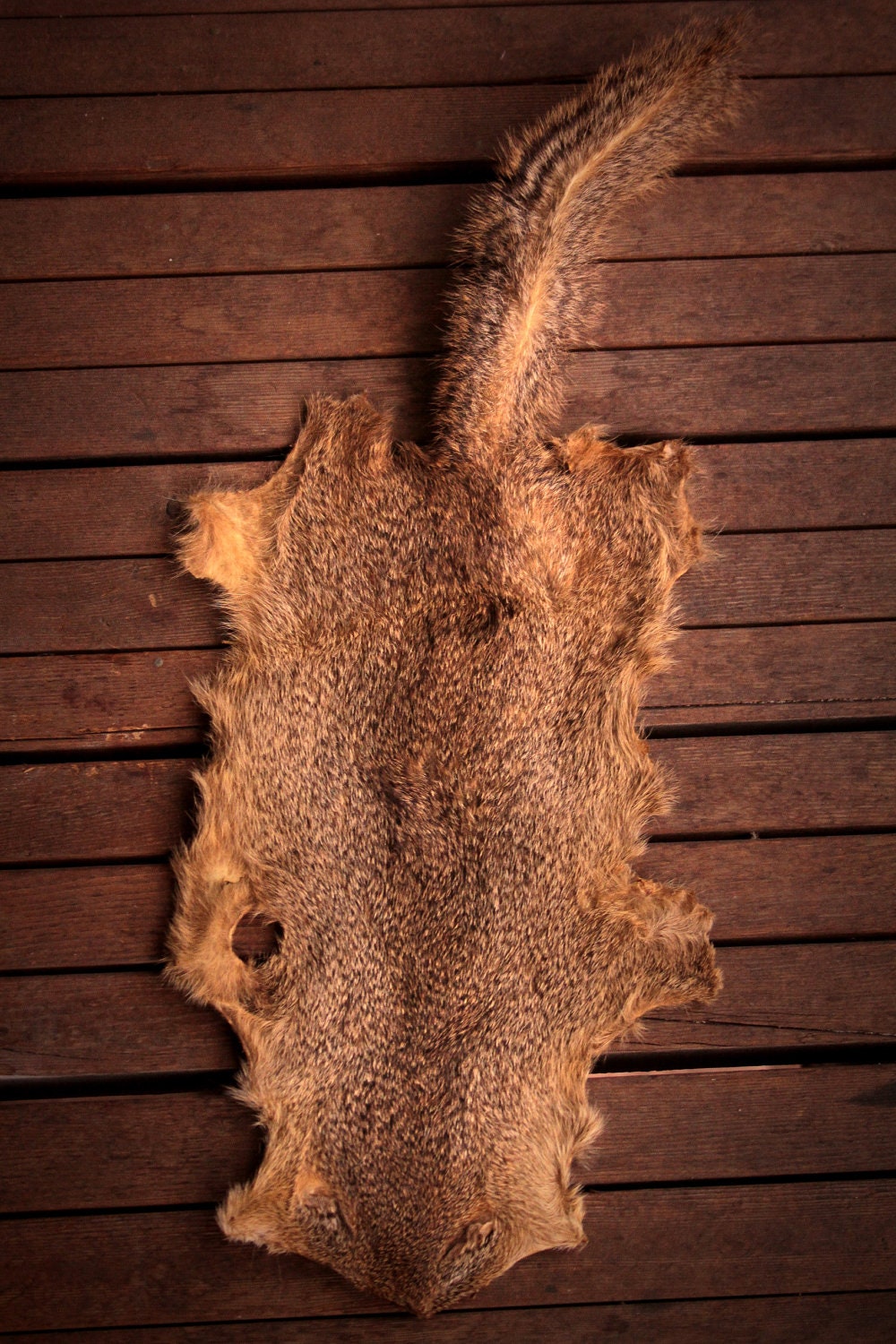 Egg-Tanned Wild Mongoose Pelt