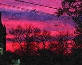 Magenta Abstract Sunset print 8 x 10 in spooky gothic nature scene silhouetted trees bird on wire metallic print