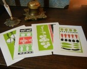 Mangia Mangia Italian Delights  Note Card Set
