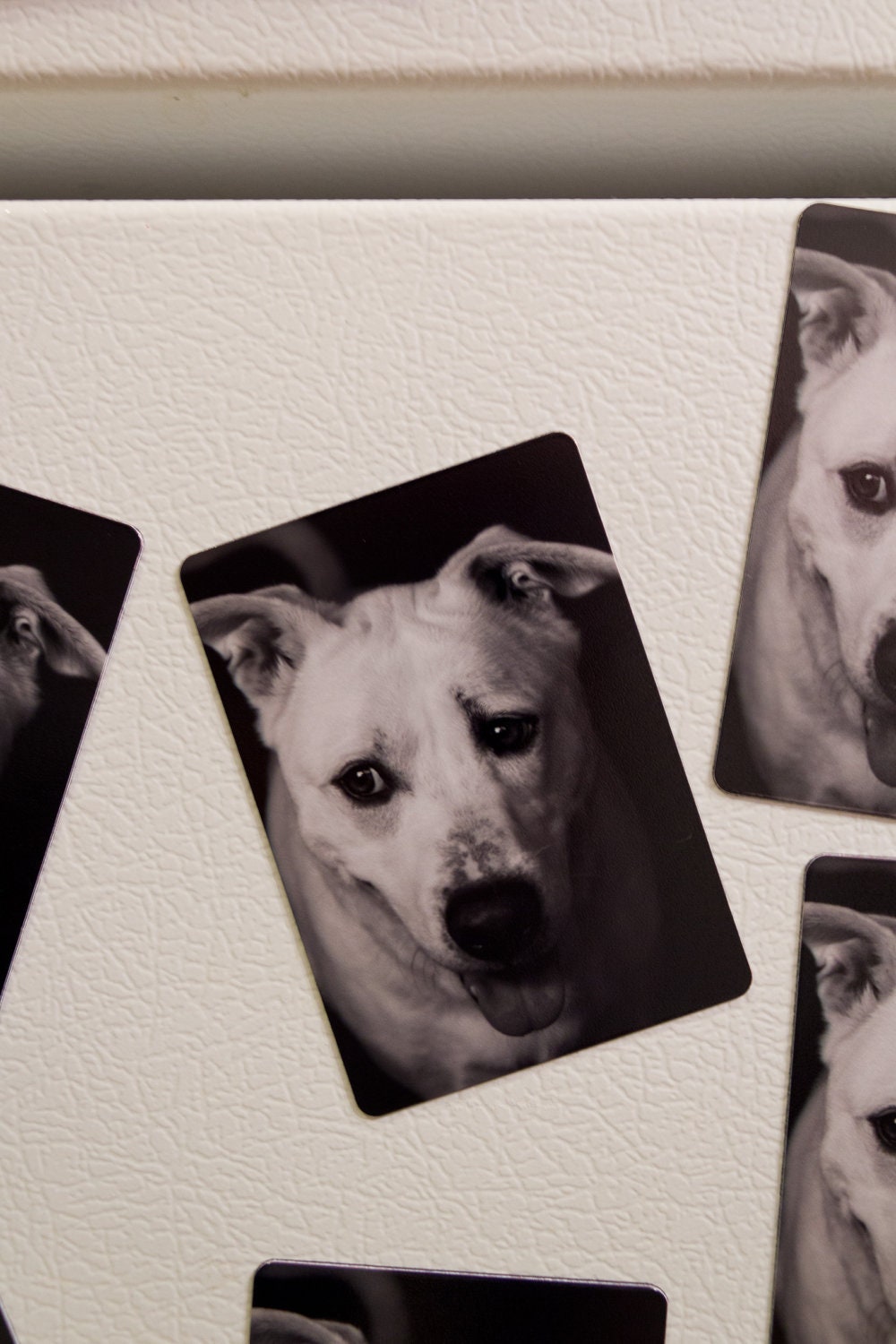 Goofy Black and White Dog Magnet for your fridge or any magnetic surface