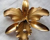 Vintage Lovely Gold Tone Hibiscus Flower Brooch Pin