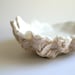 Edible Oyster Shells -Chocolate Candy in a Half Shell -3 Large