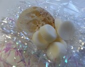 Intuition Aromatherapy Lotus Cherry Exfoliating Loofa Soap with Soy Tart Melts Combo Gift Box