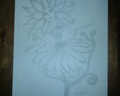 A original pencil drawing I call her Sunny