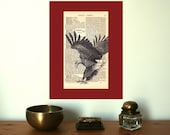 Landing Bald Eagle Large Vintage Art Print on an Antique 1896 Dictionary Book Page