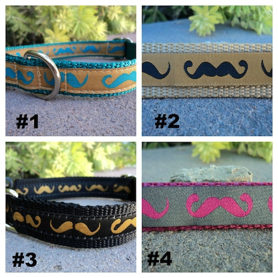 Mustache Dog Collar 3/4" Width / Choose Your Trim and Webbing Color / See Sizes in Listing img