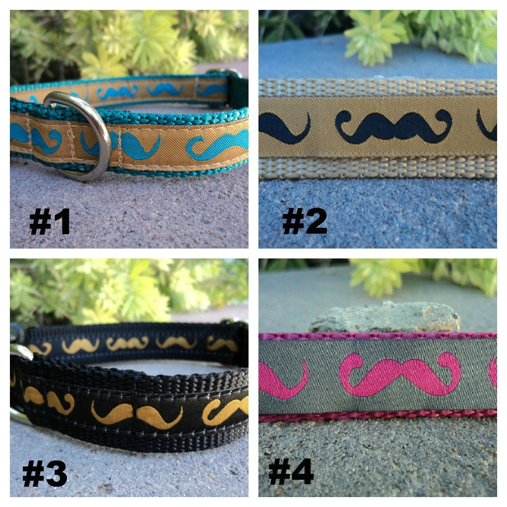 Mustache Dog Collar 3/4" Width / Choose Your Trim and Webbing Color / See Sizes in Listing img