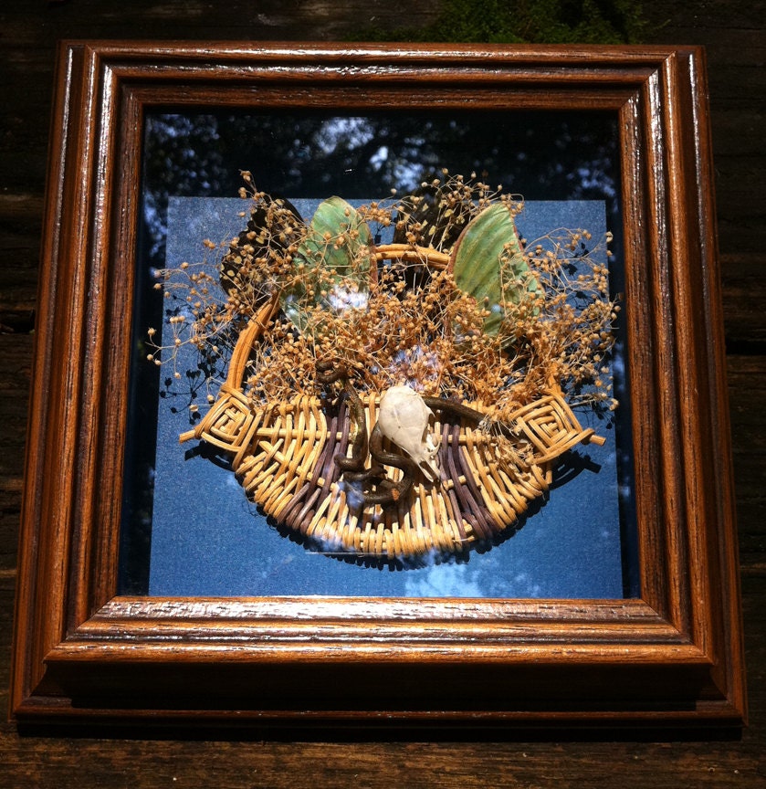 Circle of Life: Framed Mixed Media Wall Hanging with Rodent Skull, Dried Flowers and Insect Wings
