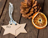 Star Shaped Gift Tags