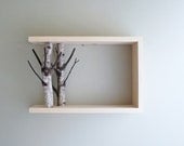 white birch forest wall art/shelf - 18x12x5.5 - made to order