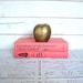 Coral, Black Books Instant Library Collection Decorative Books Photography Props Salmon