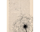 DANDELION no. 2 floral dictionary art print - dandelion flower blowing in the wind