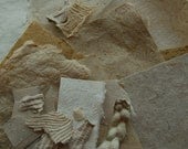 Handmade Paper Collage Pack - Neutral