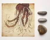 5x5 jellyfish print 'float', mixed media illustration, nautical beach decor, marine life, ocean, purple,  sepia, orange, rustic