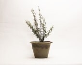 Milk Crock - Salt Glazed, Pottery, Antique