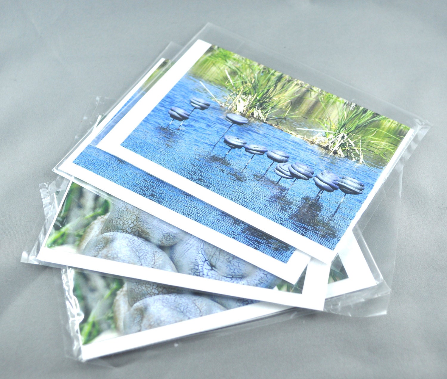 Blank Greeting Card set of 4 featuring Ceramic Installation Image : suitable for any occasion