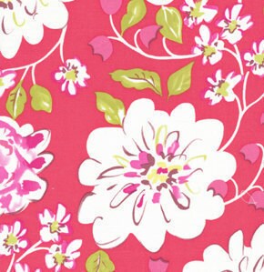 Dena Fishbein Fabric