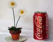 Miniature Gerbera Daisies in Clay Pot on Vintage Japanese Saucer
