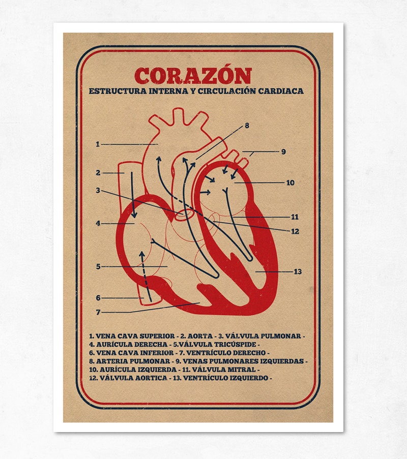 Large illustration print 11.70 x 16.50 (A3). Heart. (Special spring offer: Get a geometric poster for free)