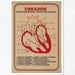 Large illustration print 11.70 x 16.50 (A3). Heart. (Special spring offer: Get a geometric poster for free)