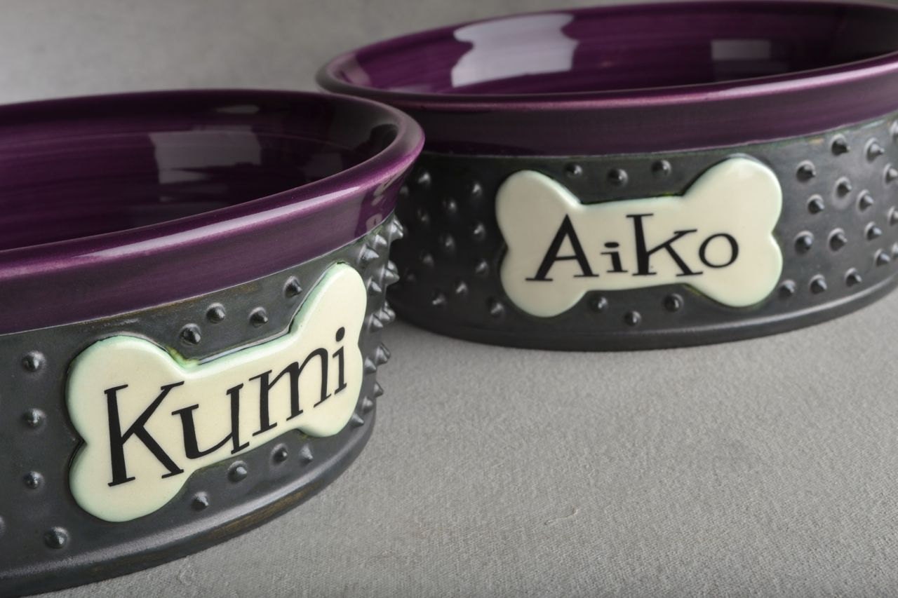 Medium Dog Bowl Set 8" Made To Order Personalized Dangerously Spiky Dog Bowls by Symmetrical Pottery