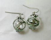 Real peacock feathers in Clear Glass Orb, earrings, nickel free
