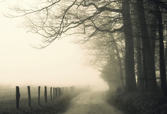 landscape photography, black and white, fog, foggy, road, rural, rustic, moody, 12 x 8 print