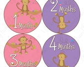 Monthly Baby Onesie Stickers - Gabriella - Fun Little Girly Monkeys Playing, Pink, Purple - Great Photo Prop and Baby Shower Gift