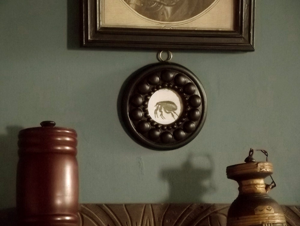 picture frame, small black picture frame, round frame f8