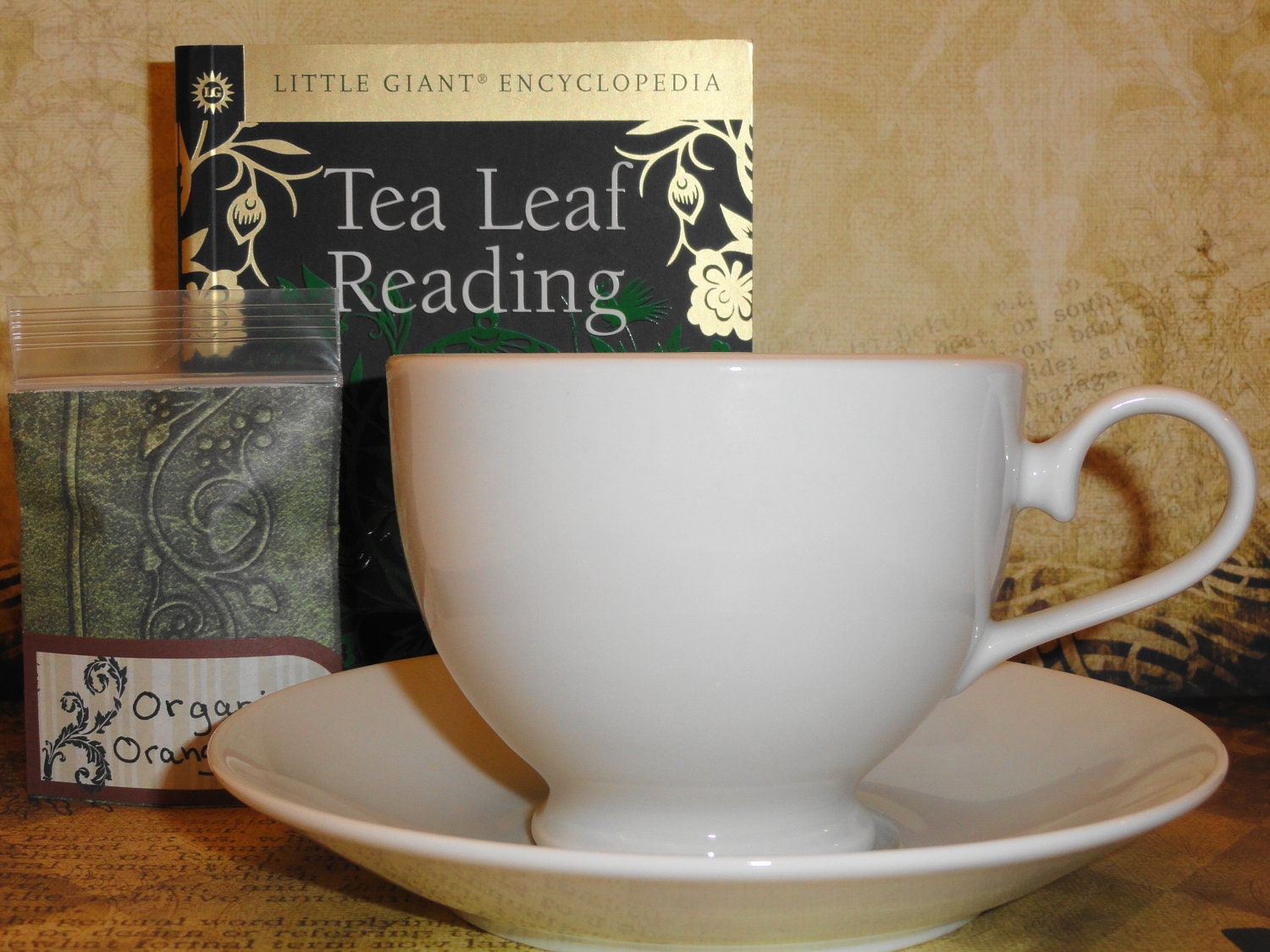 Tea Leaf Reading Kit with Ceramic Teacup and Saucer New Book and Gift Packaging