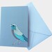 Redstart Bird Card