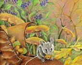 Stocking Up- 5 x 7inch fine art print- sweet mouse, nature inspired animal illustration- from original colored pencil drawing