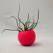 Mini Bulbosa Air Plant Container Pod - Hot Pink // Planter // Home and Garden // Gifts under 20