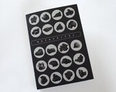 Meteorites Booklet