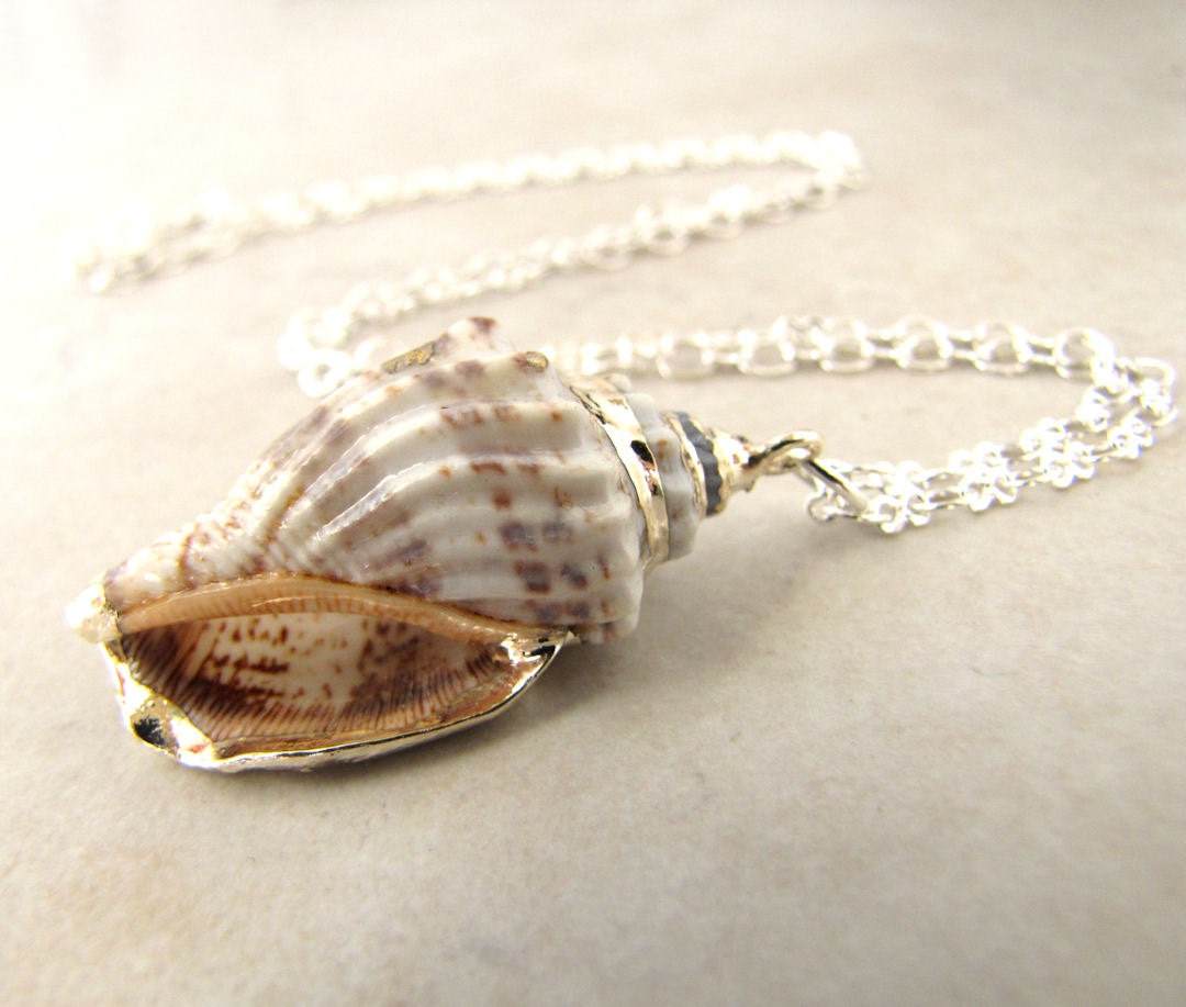 Sea Shell Seashell Necklace Shell Conch Ocean Beach BellinaCreations Bellina Creation
