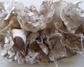 Cuff bracelet in beige and ivory