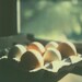 Fresh Eggs Card