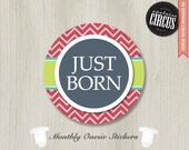 Baby Onesie Monthly Stickers - Bright Modern Chevron Theme - Just Born Add On