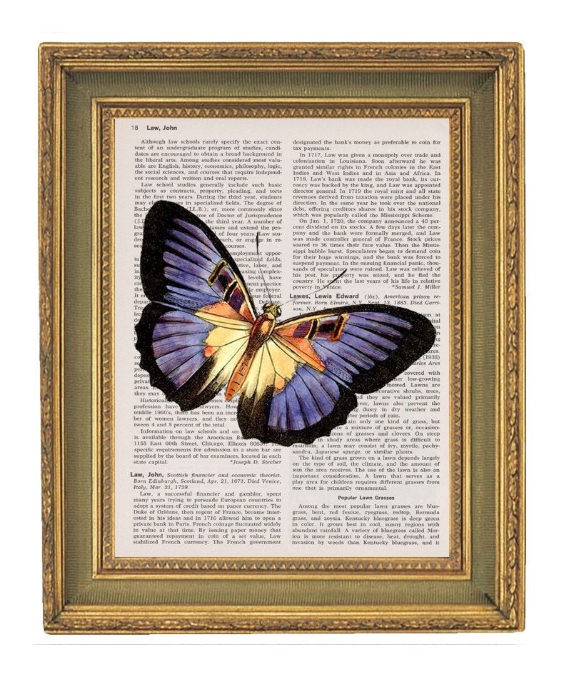 Stunning Purple Butterfly - Vintage Encyclopedia Book Print-  7x10 Buy 2 get 1 Free
