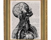 Face Muscle Tissue- Vintage Dictionary Book Print-  8x10