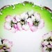Vienna Austria Wheelock - Wild Rose Plate - Vintage